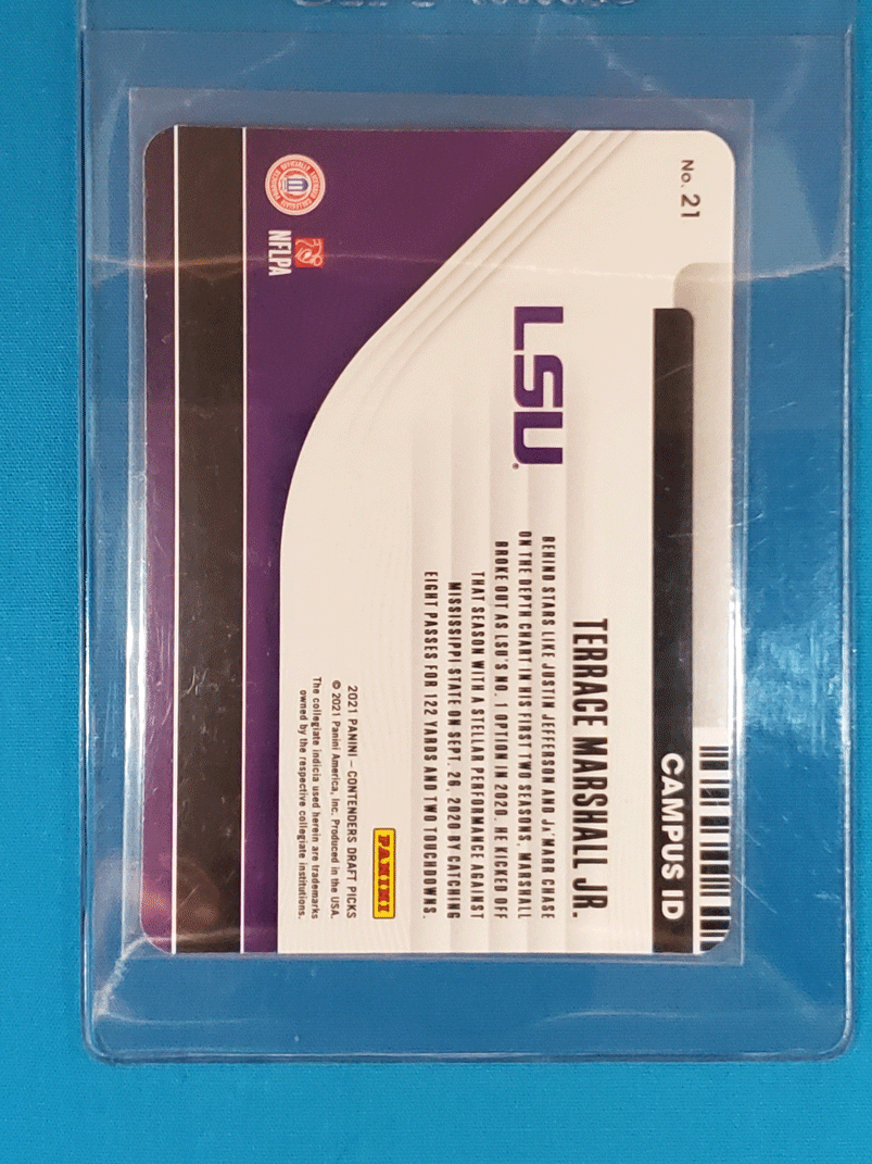 Terrace Marshall Jr.