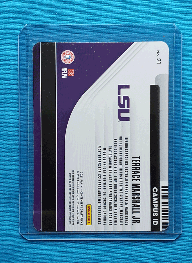 Terrace Marshall Jr.