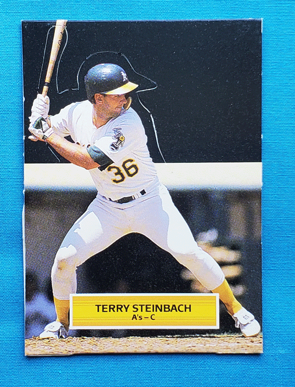 Terry Steinbach