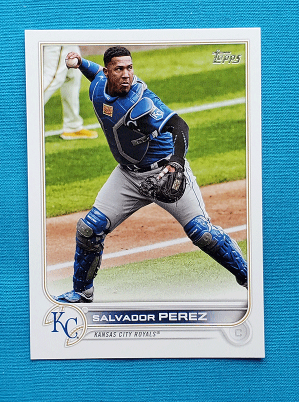 Salvador Perez