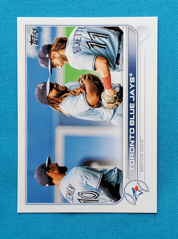 Vladimir Guerrero Jr