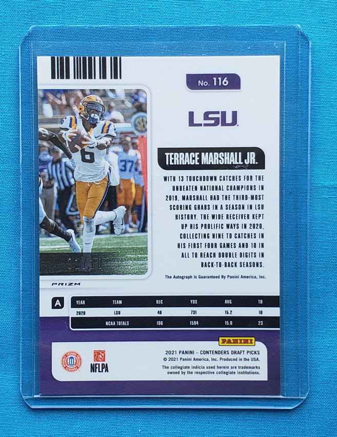 Terrace Marshall Jr.