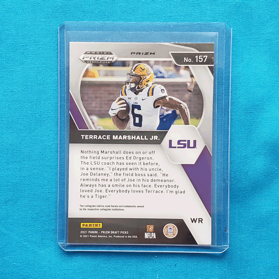 Terrace Marshall Jr.