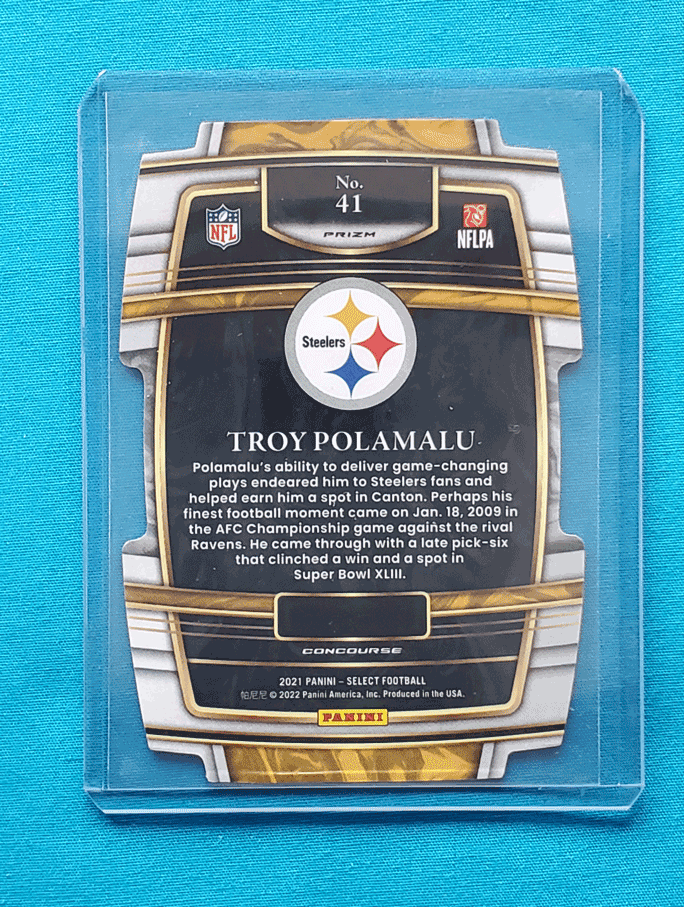 Troy Polamalu